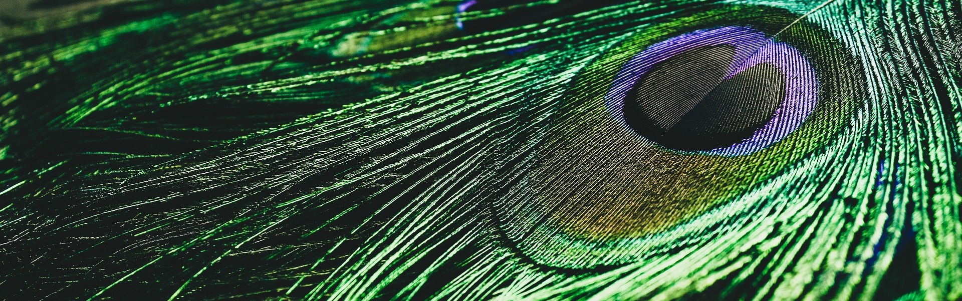 アストロ・クリエイティビティ・コンサルティング